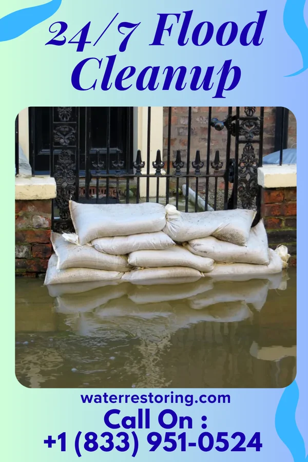 24/7 Flood Cleanup in Charlotte, TX