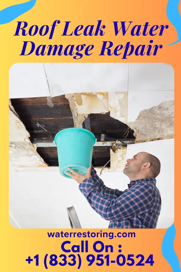Roof Leak Water Damage Repair in Charlotte, TX